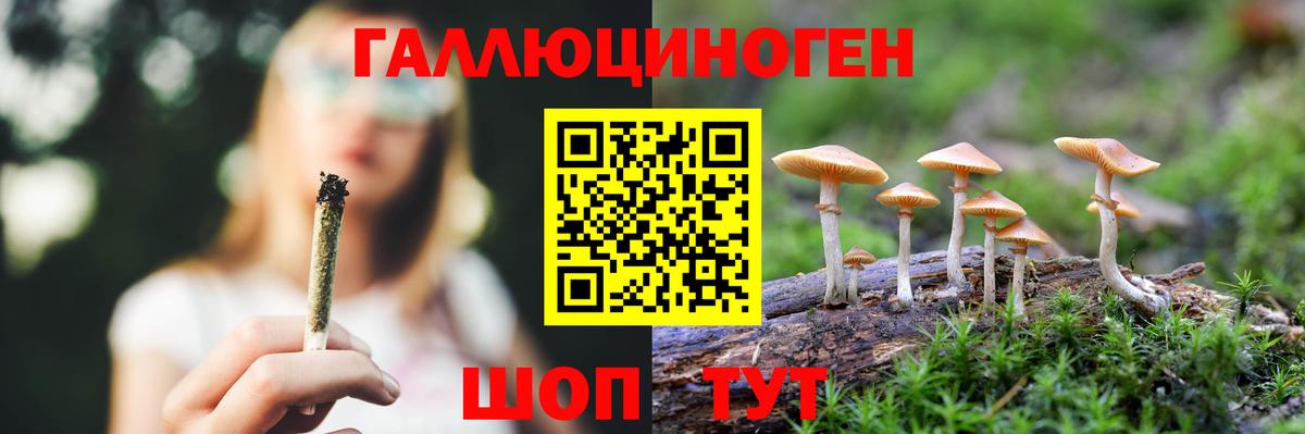 Псилоцибиновые грибы ЛСД Медногорск